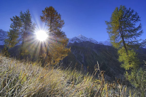 Vista Panorámica Del Majestuoso Paisaje Los Alpes — Foto de Stock