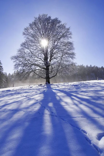 Bunter Hintergrund Für Weihnachten Oder Neujahr Urlaubskarte — Stockfoto