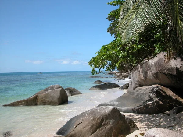 Сейшелы Остров Мечты — стоковое фото