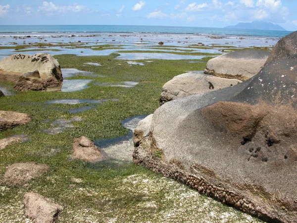 Strand Der Seychellen Ebbe — Stockfoto