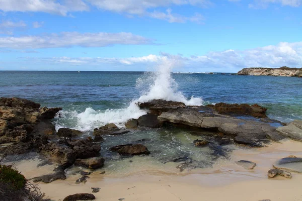 Rottnest Island Australien — Stockfoto