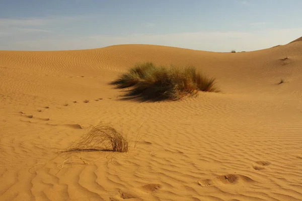 Sandwüste Dünenlandschaft — Stockfoto