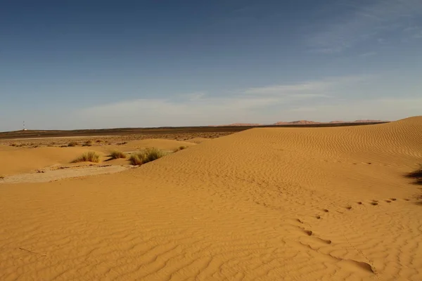 Sandwüste Dünenlandschaft — Stockfoto