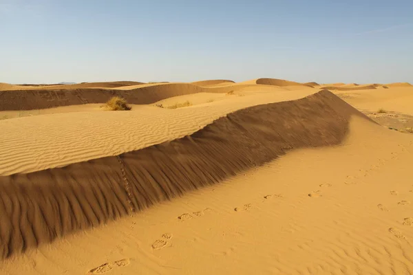 Deserto Arenoso Paisagem Duna — Fotografia de Stock