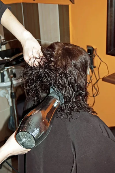 Estilista Trabajo Mujer Cabello Salón —  Fotos de Stock