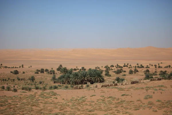 サハラ砂漠のオアシス — ストック写真
