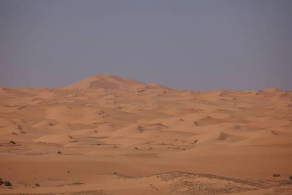 Scenic View Dunes Selective Focus — Stock Photo, Image