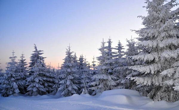 Sníh Horách Zimě Fichtelgebirge — Stock fotografie