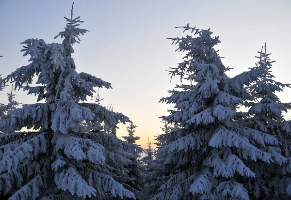 Neige Dans Les Montagnes Hiver Fichtelgebirge — Photo