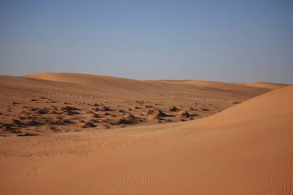 Vue Panoramique Des Dunes Mise Point Sélective — Photo