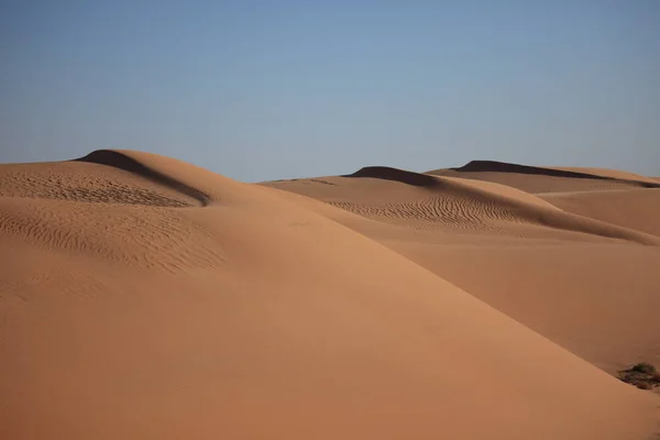 Vista Panoramica Della Natura Nel Deserto Del Sahara — Foto Stock