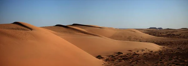 Scenic View Dunes Selective Focus — Stock Photo, Image