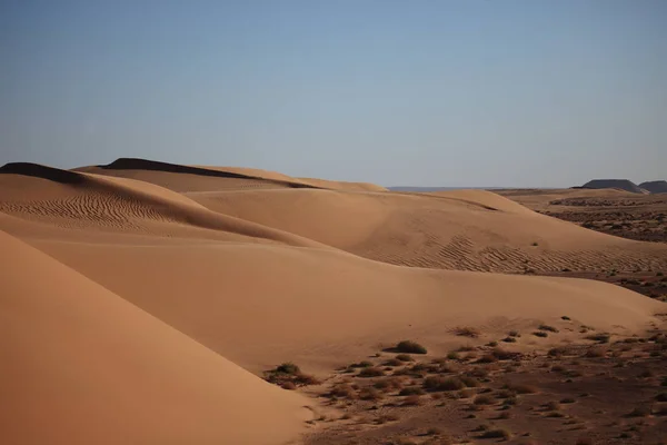 Panoramisch Uitzicht Duinen Selectieve Focus — Stockfoto