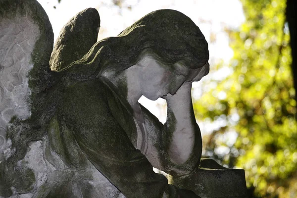 Cimitero All Alba Una Donna — Foto Stock