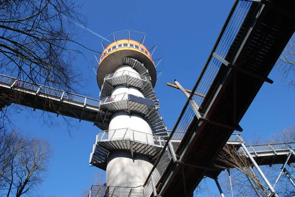 Unesco Weltnaturerbe Welterbe Hainich Baumkronenpfad — Stockfoto