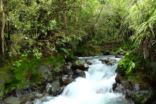 Prachtige Russel Valt Splash Naar Beneden Veld Nationaal Park Tasmanië — Stockfoto