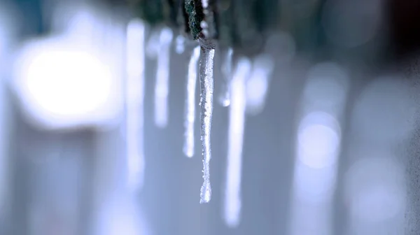 Vista Una Scena Invernale — Foto Stock