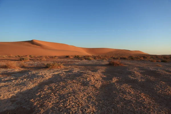 Természet Látképe Szahara Sivatagban — Stock Fotó
