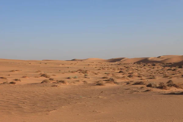 Panoramisch Uitzicht Duinen Selectieve Focus — Stockfoto