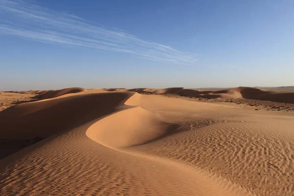 Vista Panorámica Las Dunas Enfoque Selectivo — Foto de Stock