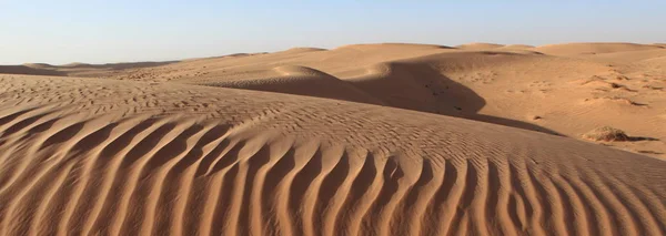 Scenic View Nature Sahara Desert — Stock Photo, Image