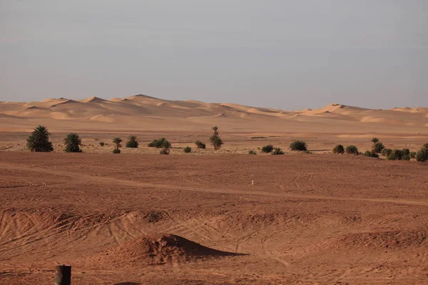 Vue Panoramique Des Dunes Mise Point Sélective — Photo