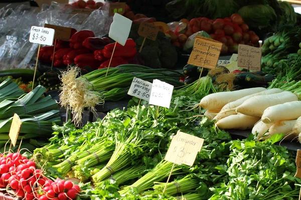 Färska Grönsaker Salamanca Market Tasmanien Australien — Stockfoto