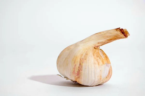 Aglio Testa Aglio Isolata Fondo Bianco — Foto Stock