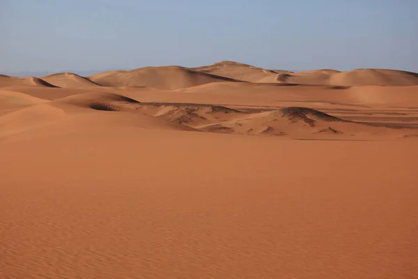 Vue Panoramique Des Dunes Mise Point Sélective — Photo