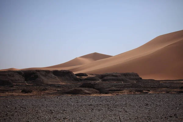 Sahra Çölü Nde Doğa Manzarası — Stok fotoğraf