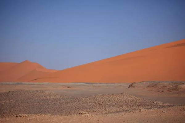 Scenisk Över Sanddyner Selektivt Fokus — Stockfoto