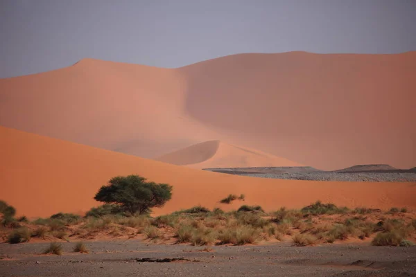 Vue Panoramique Des Dunes Mise Point Sélective — Photo