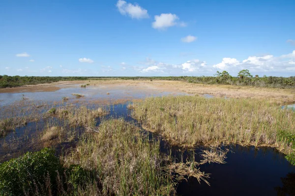 Pittoresk Uitzicht Natuur — Stockfoto