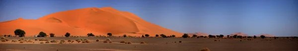 Vista Panorámica Las Dunas Enfoque Selectivo — Foto de Stock