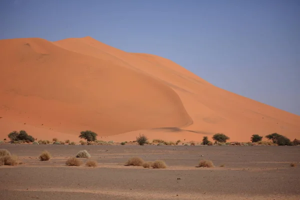 Vista Panoramica Delle Dune Focus Selettivo — Foto Stock