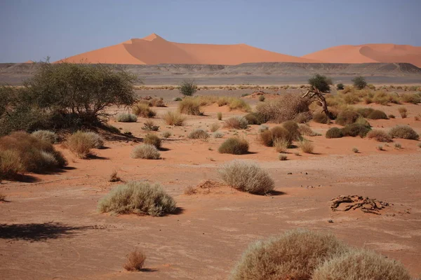 Vista Panoramica Della Natura Nel Deserto Del Sahara — Foto Stock