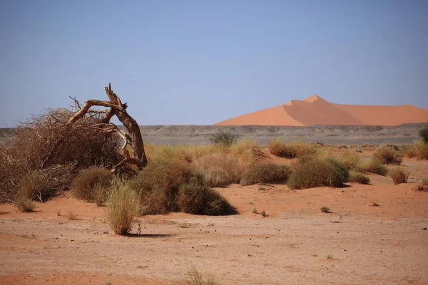 Malerischer Blick Auf Die Natur Der Sahara — Stockfoto