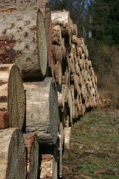 Dřevěná Textura Dřevěné Hromady — Stock fotografie