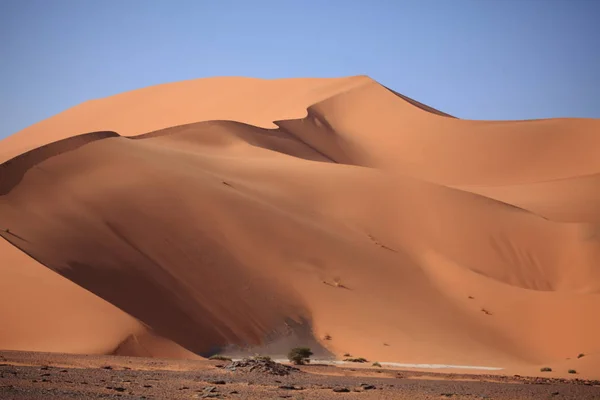 Vue Panoramique Des Dunes Mise Point Sélective — Photo