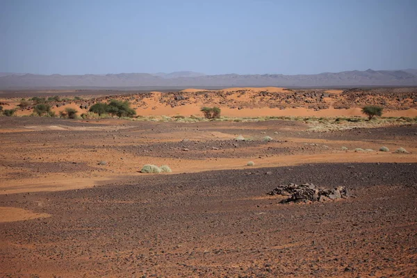 Malerischer Blick Auf Die Natur Der Sahara — Stockfoto