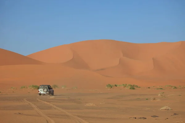 Scenisk Över Sanddyner Selektivt Fokus — Stockfoto