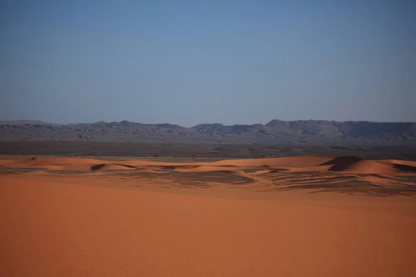 Malebný Pohled Duny Selektivní Zaměření — Stock fotografie