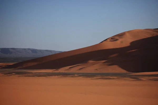 Sahra Çölü Nde Doğa Manzarası — Stok fotoğraf