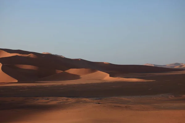 Vue Panoramique Des Dunes Mise Point Sélective — Photo