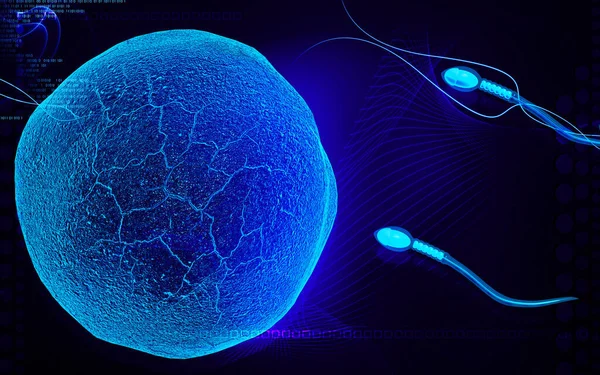 Digitální Ilustrace Spermatu Barevném Pozadí — Stock fotografie