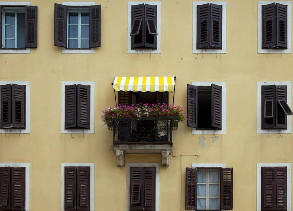 Classic Italian Windows Flowers — Stock Photo, Image