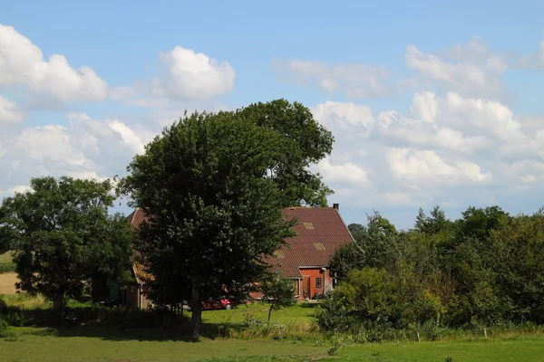 Scenic View Agriculture Countryside — Stock Photo, Image