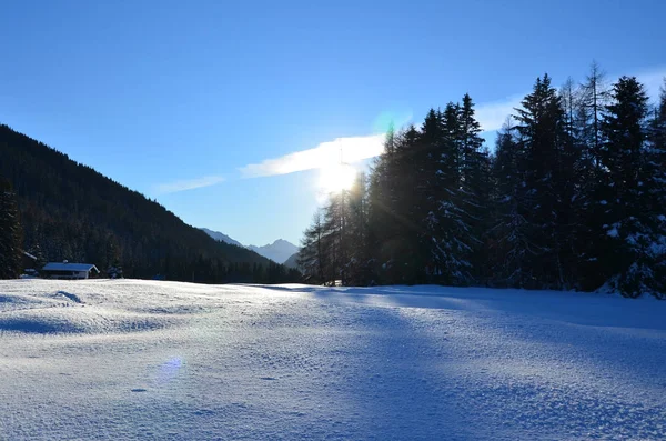 Pintoresca Vista Del Paisaje Invernal Cubierto Nieve — Foto de Stock