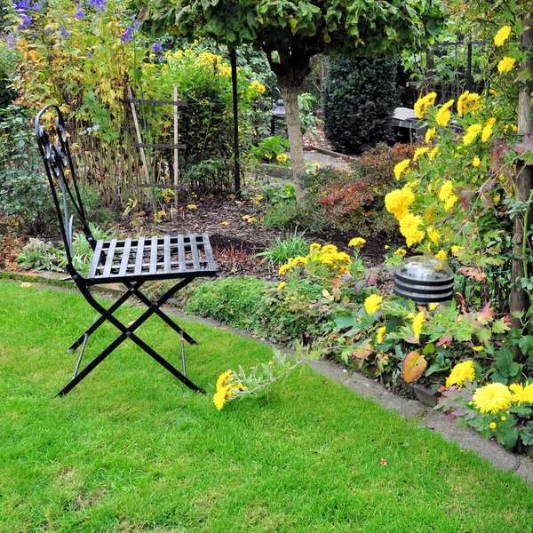 Garden Chair Yellow Asters — Stock Photo, Image