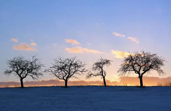 Kışın Gün Batımı — Stok fotoğraf
